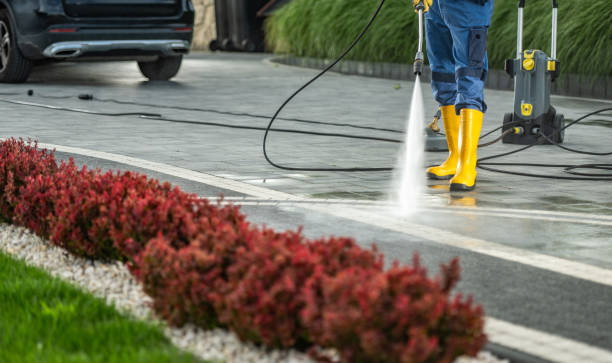 Best Roof Pressure Washing  in USA